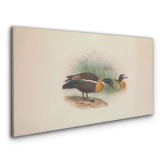 COLORAY.CZ Obraz na plátně Ptáci béžová zvířata 100x50 cm