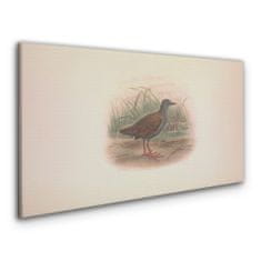 COLORAY.CZ Obraz na plátně Ptáci zvířata kreslení 120x60 cm