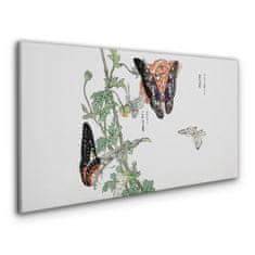 COLORAY.CZ Obraz na plátně Větve hmyzu 100x50 cm