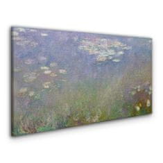 COLORAY.CZ Obraz na plátně Vodní lilie mince 120x60 cm