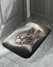 EXCELLENT Protiskluzová podložka Cat 40x60 cm - Perská kočka