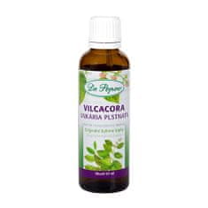 Dr. Popov Vilcacora , originální bylinné kapky, 50 ml Dr. Popov