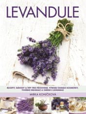 Metafora Levandule - Recepty, návody a tipy pro pěstování, výrobu domácí kosmetiky, tvoření dekorací a vaření s levandulí