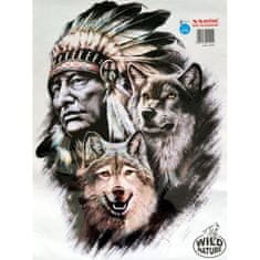 Avisa Samolepící dekory indian s vlky