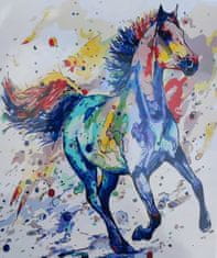 TADEKMARK Malování na plátno podle čísel plátno s rámem 40x50 kůň 