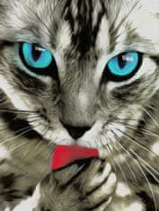 TADEKMARK Výšivky Diamond Painting 5D Cat modré oči mozaika