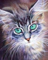 TADEKMARK Haft Diamond Painting Diamantová mozaika Kočičí oči zelené