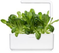 Click and Grow římský salát, kapsle se semínky a substrátem 3ks