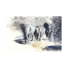 COLORAY.CZ  Fototapeta Putování slonů 250 x 250 cm Fototapeta Vliesová