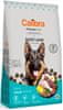 Dog Premium Line Adult Large 12 kg