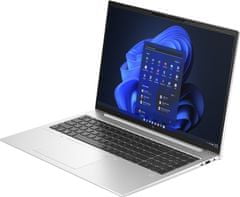 HP EliteBook 865 G10, stříbrná (8A418EA)