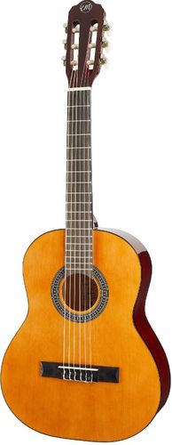 krásná akustická kytara tanglewood EM C1 typ kytary skvělá pro začátečníky krásná povrchová úprava pohodlné hraní