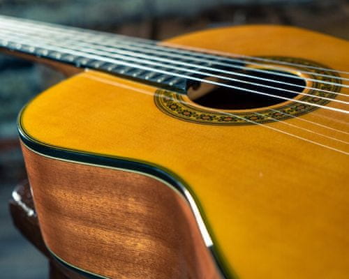 krásná klasická kytara Washburn C40-A-U classical typ kytary skvělá pro začátečníky krásná povrchová úprava pohodlné hraní