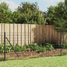 Vidaxl Drátěný plot antracitový 0,8 x 25 m pozinkovaná ocel