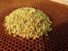 Pleva Včelí květový pyl rouskovaný, 100 g