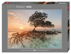 Heye Puzzle Mangrovník 1000 dílků