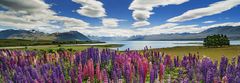Heye Panoramatické puzzle Jezero Tekapo, Nový Zéland 1000 dílků