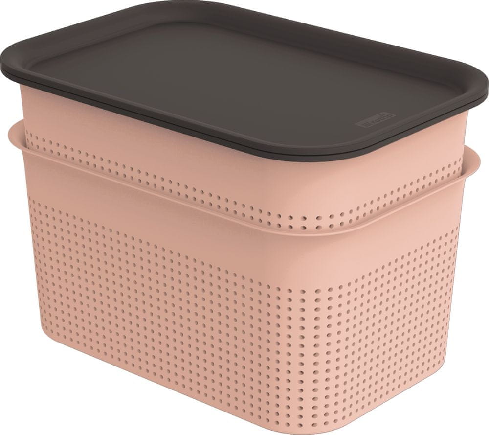 Levně Rotho set box + víko BRISEN 2× 4,5 l, růžový