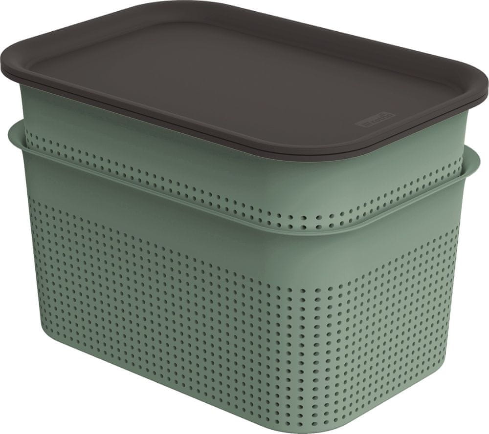 Levně Rotho set box + víko BRISEN 2× 4,5 l, zelený