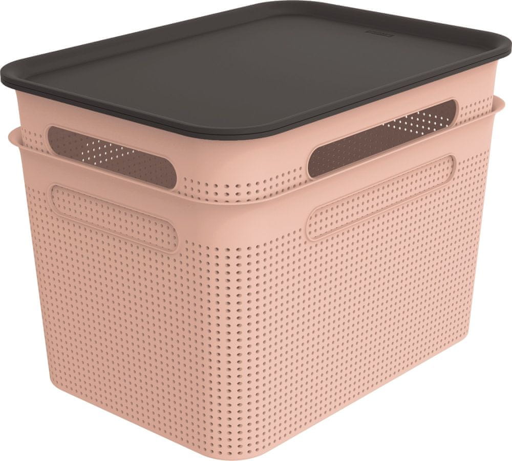 Rotho set box + víko BRISEN 2× 16 l, růžový