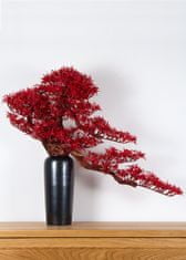 Bondek Pokojová dekorativní bonsai ve váze - Javor (PN-22)