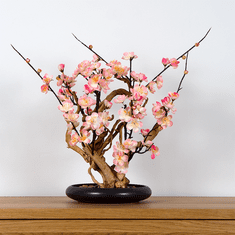 Bondek Pokojová dekorativní bonsai - White plum (PN-39)