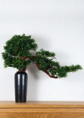 Bondek Pokojová dekorativní bonsai ve váze - Podocarpus (PN-24)