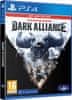 Wizards of the Coast Dungeons and Dragons Dark Alliance Day One Edition PS4