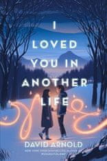 Arnold David: I Loved You in Another Life