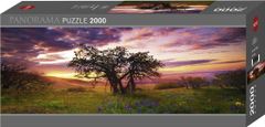 Heye Panoramatické puzzle Dub, Columbia Hills State Park 2000 dílků