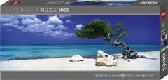Heye Panoramatické puzzle Strom Divi Divi (Aruba, Antily) 1000 dílků
