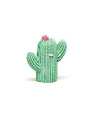 Prvnihracky Lanco - Kaktus obličej zelený