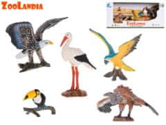 Mikro Trading Zoolandia - Ptáci