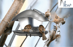 Prosperplast Krmítko pro ptáky BIRDYFEED SQUARE antracit 24,8 cm PRIBFS-S433