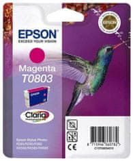 Epson C13T080340, purpurová (C13T08034010)