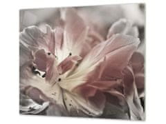 Glasdekor Ochranná deska abstraktní šedý tulipán - Ochranná deska: 50x50cm, Lepení na zeď: S lepením na zeď