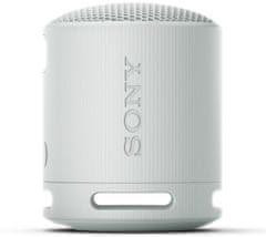 Sony SRS-XB100, šedá