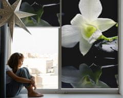 COLORAY.CZ Roleta na okno Orchideje Rolet propuštění světla 90x140 cm