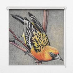 COLORAY.CZ Roleta na okno Pták na větvi Zatmícící rolet (s podšívkou) 60x140 cm