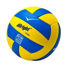Volejbalový míč Proline Vb601