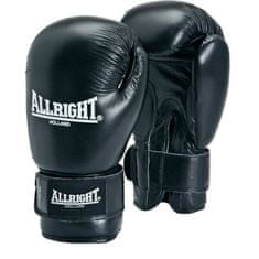 Nejlepší profesionální boxerské rukavice 12Oz
