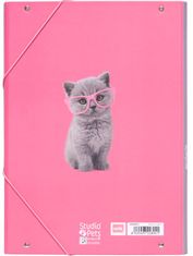CurePink Složka s 3 klopy Studio Pets: Kočky - Cats (26 x 34 x 2 cm)