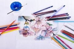 Astra Akvarelové tužky 12 barev štětec zdarma