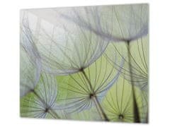 Glasdekor Ochranná deska bílé chmýří zelené pozadí - Ochranná deska: 40x40cm, Lepení na zeď: S lepením na zeď