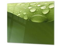 Glasdekor Ochranná deska abstraktní list s rosou - Ochranná deska: 52x60cm, Lepení na zeď: S lepením na zeď