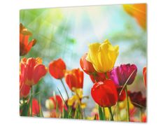 Glasdekor Ochranná deska barevné tulipány - Ochranná deska: 50x70cm, Lepení na zeď: S lepením na zeď