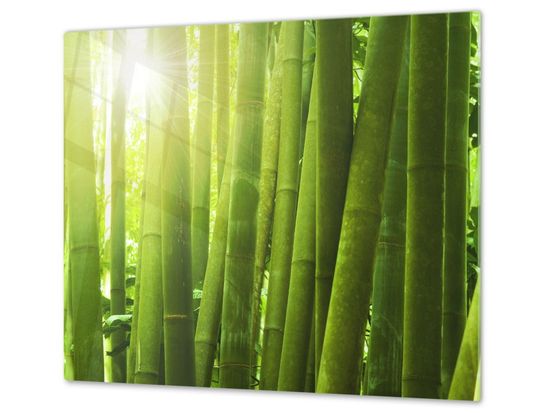 Glasdekor Ochranná deska bambus záře slunce