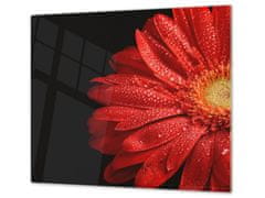 Glasdekor Ochranná deska červený květ gerbery - Ochranná deska: 40x40cm, Lepení na zeď: Bez lepení na zeď