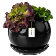 botle Květináč květináč černá koule květinová mísa s podšálkem kulatý ŠxV 110 mm x 100 mm povrch lesk keramika moderní glamour