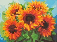 Aga Malování podle čísel 40x50cm slunečnice